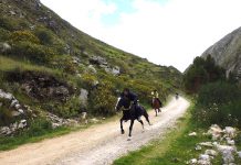 carrera-de-caballos